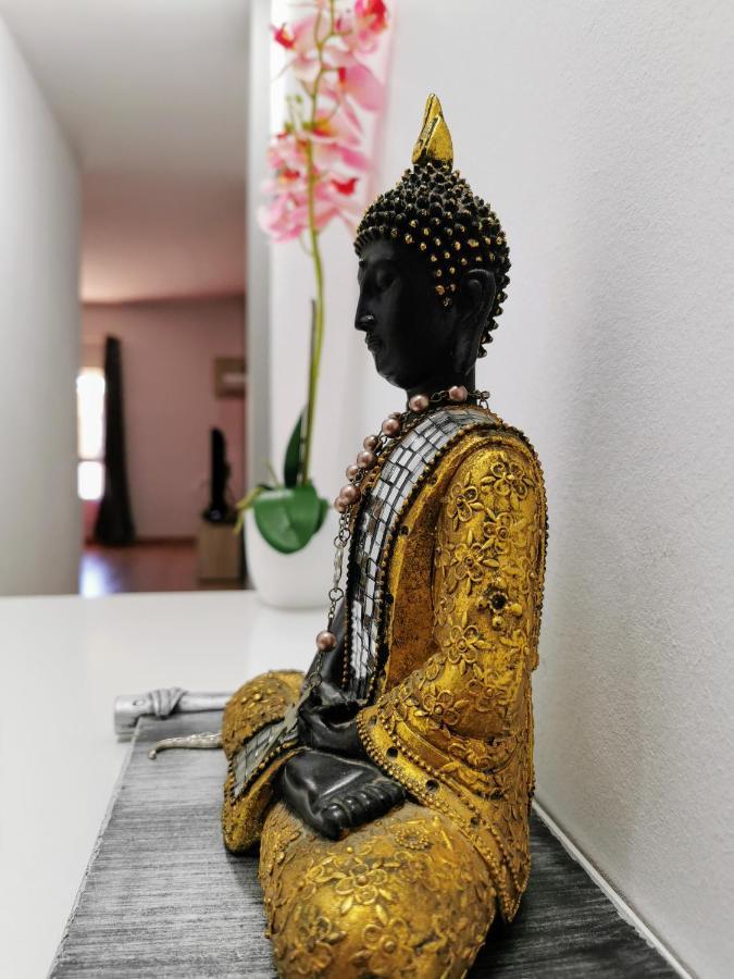 코라레호 Casa Adam 아파트 외부 사진